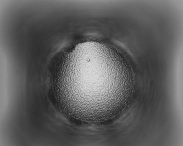 X0000088151399200705211146