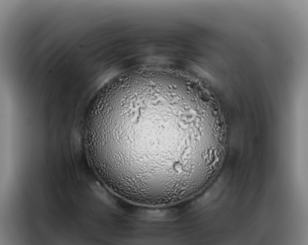 X0000088151401200705211146