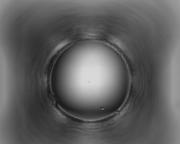 X0000088151402200705211146