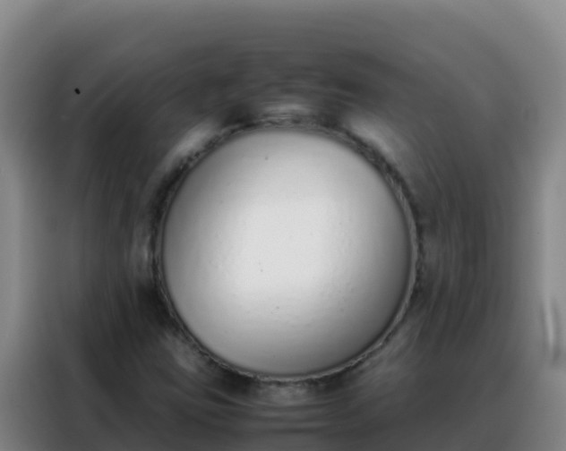 X0000088151403200705211146