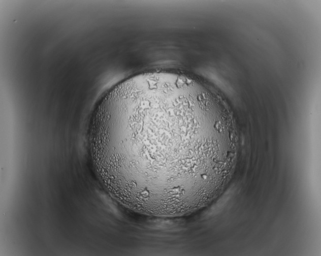 X0000088151405200705211146