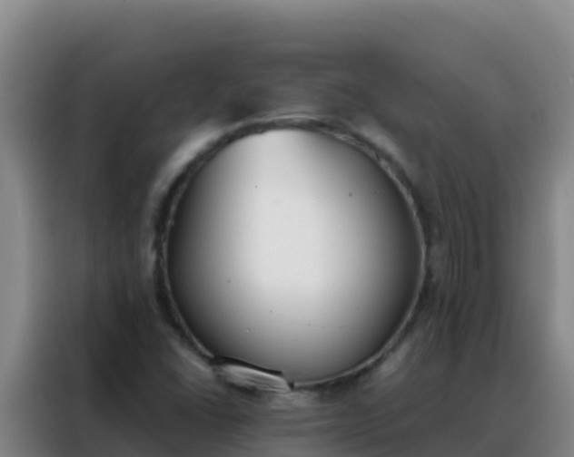 X0000088151406200705211146