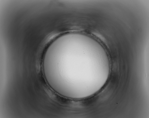 X0000088151407200705211146