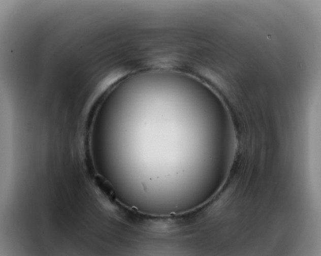 X0000088151410200705211146