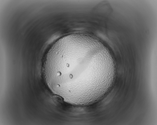 X0000088151411200705211146