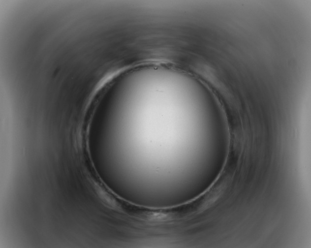 X0000088151412200705211146