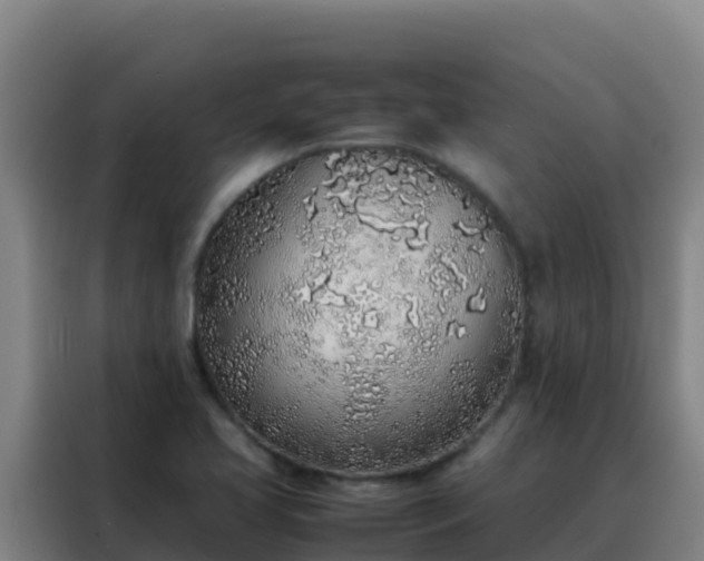 X0000088151413200705211146