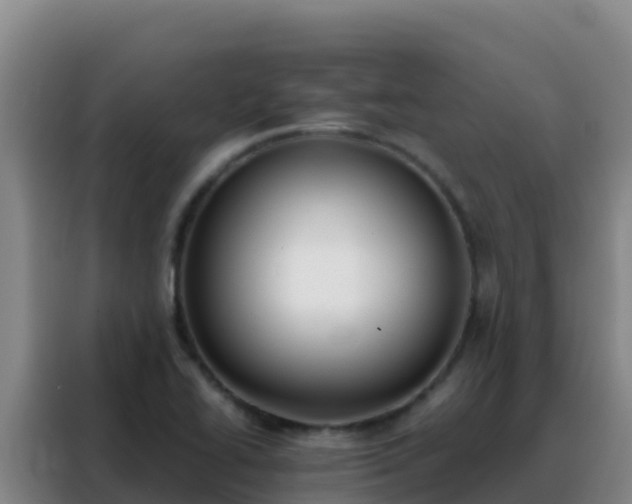 X0000088151414200705211146