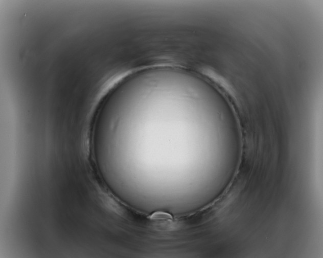 X0000088151415200705211147