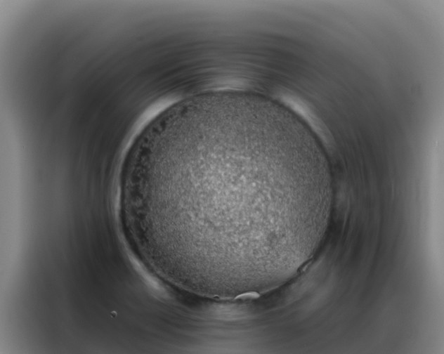 X0000088151418200705211147