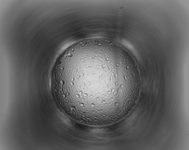 X0000088151419200705211147