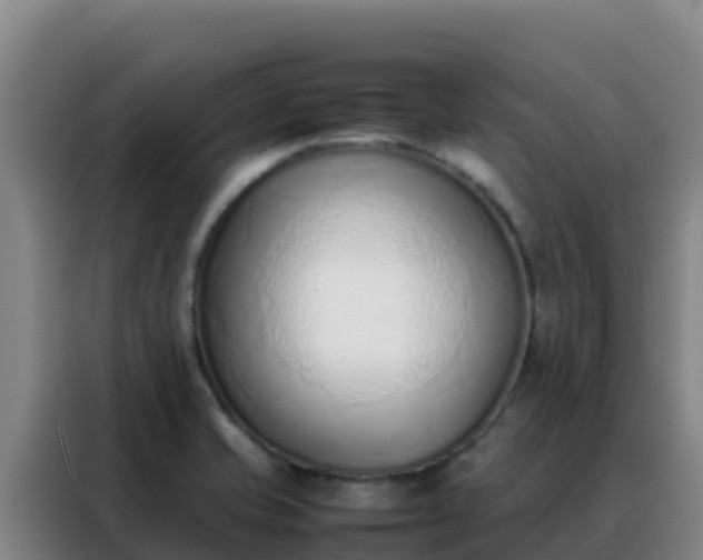 X0000088151421200705211147