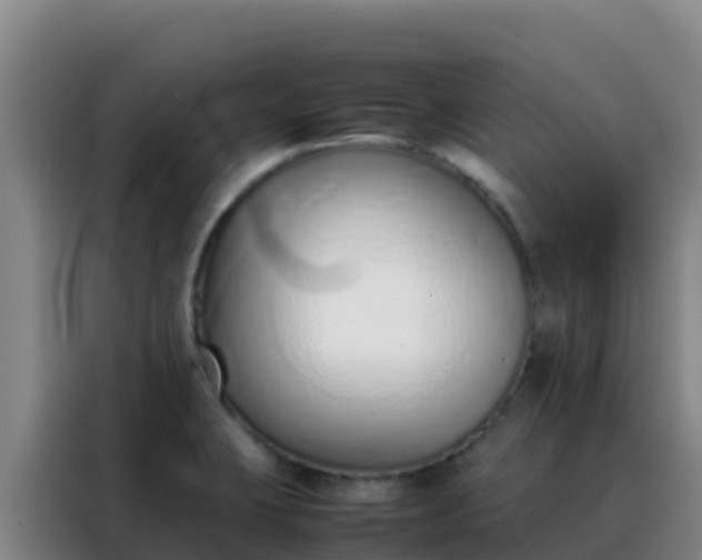 X0000088151423200705211147