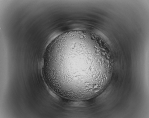 X0000088151425200705211147