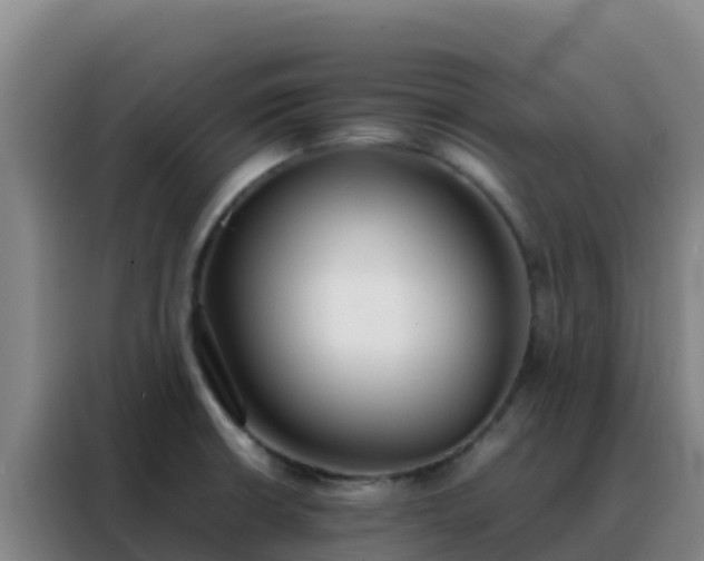 X0000088151426200705211147