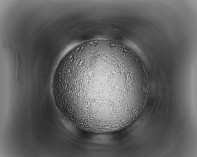 X0000088151427200705211147