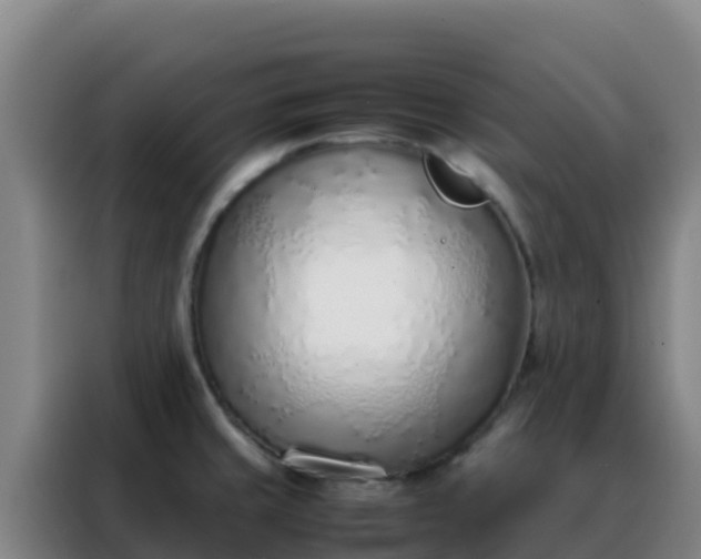 X0000088151429200705211147