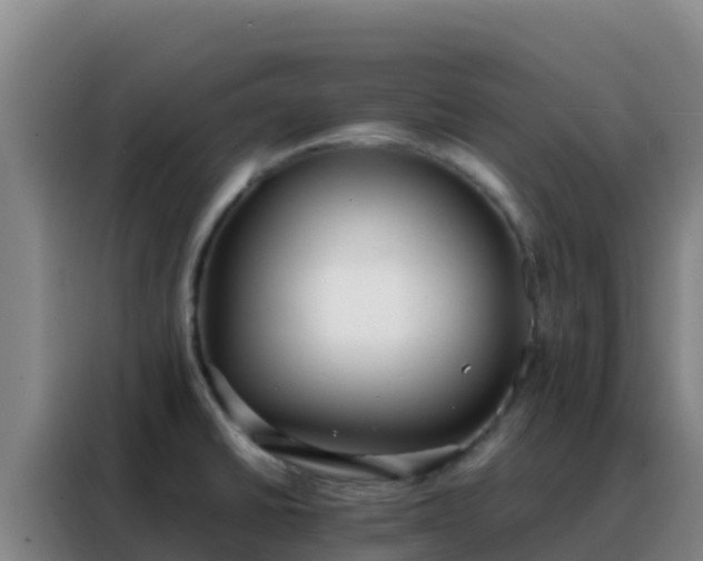 X0000088151430200705211147