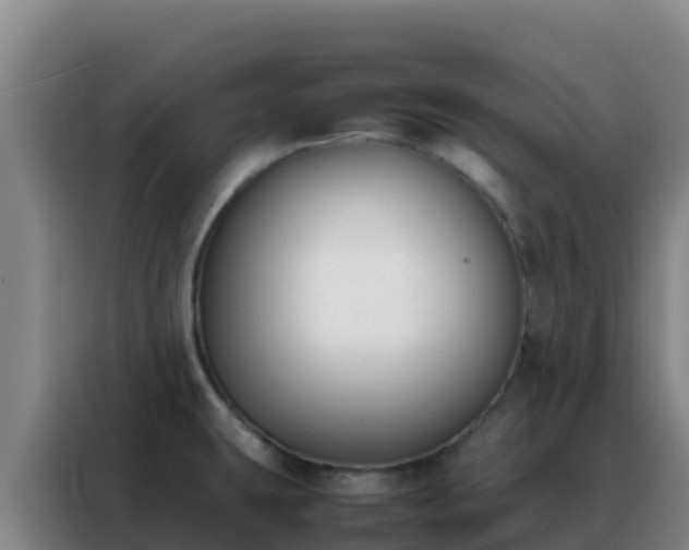 X0000088151431200705211147