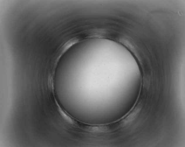 X0000088151433200705211147