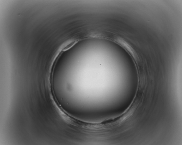 X0000088151434200705211147