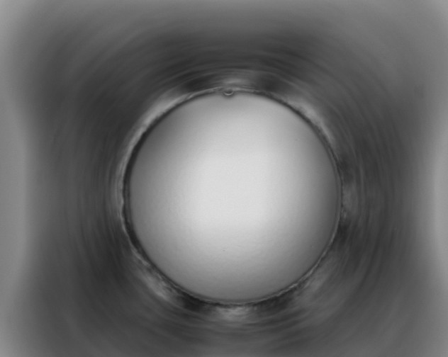 X0000088151435200705211147