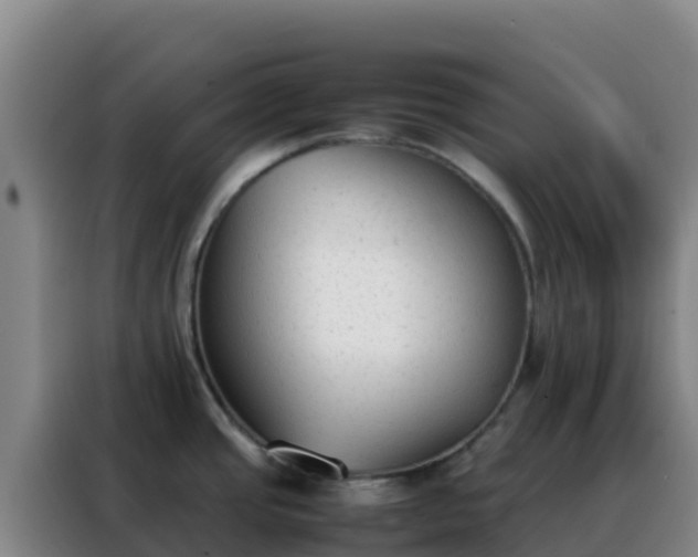 X0000088151437200705211147