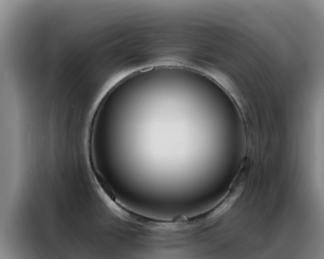 X0000088151438200705211147