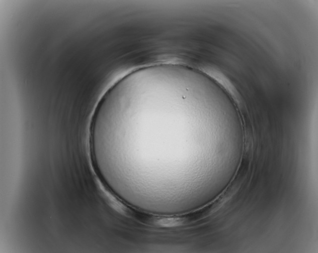 X0000088151439200705211147