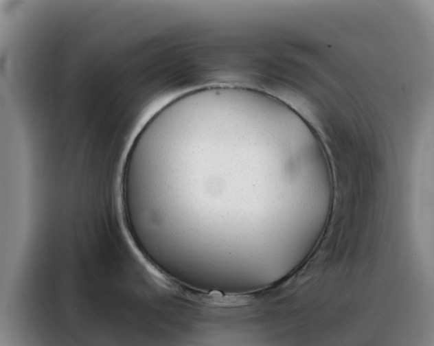 X0000088151440200705211147