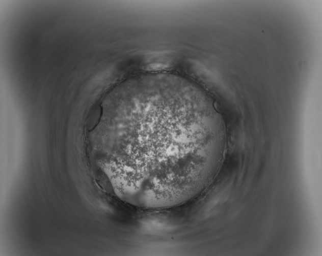 X0000088151441200705211146