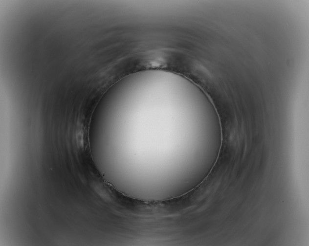 X0000088151442200705211146