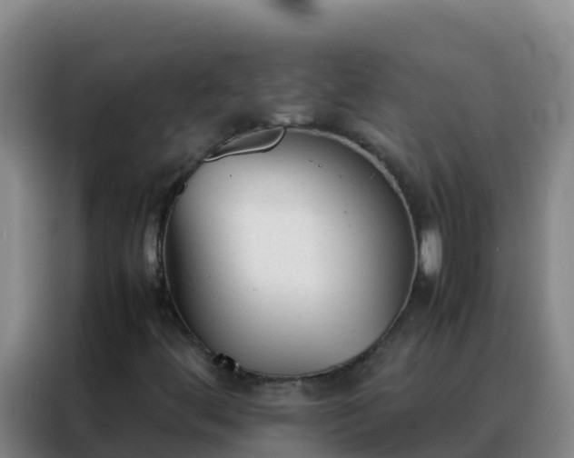 X0000088151444200705211146