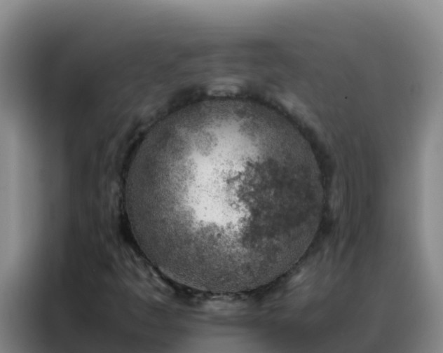 X0000088151445200705211146