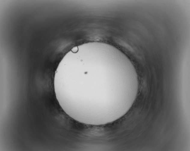 X0000088151446200705211146