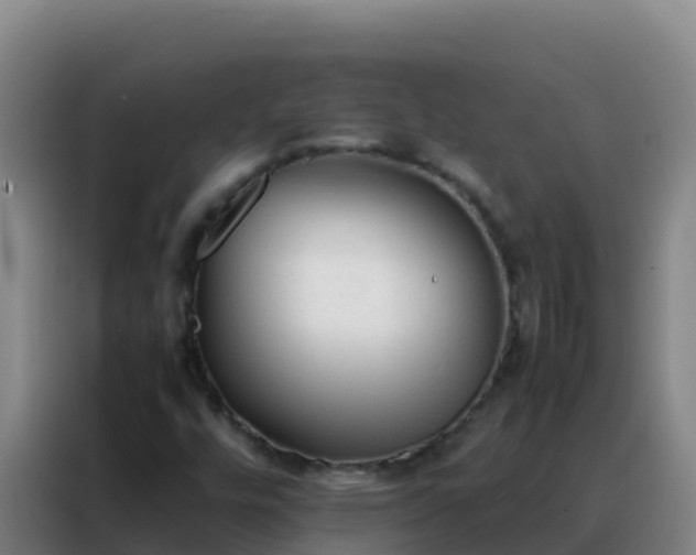 X0000088151448200705211146