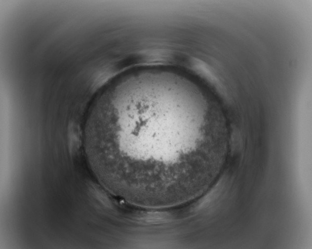 X0000088151449200705211146