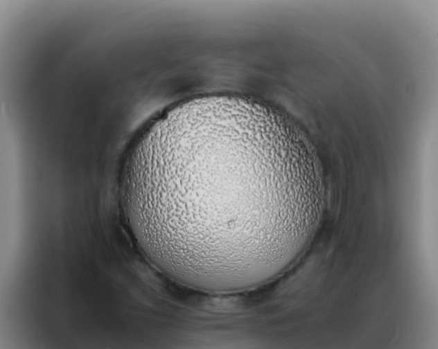 X0000088151453200705211146