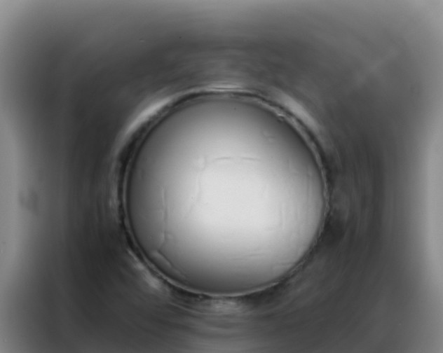 X0000088151456200705211146