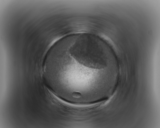 X0000088151457200705211146