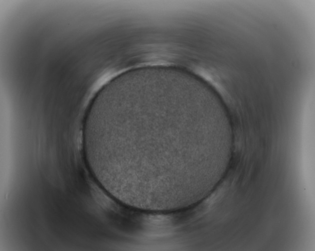 X0000088151459200705211146