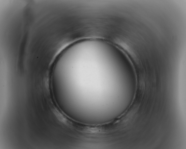 X0000088151460200705211146