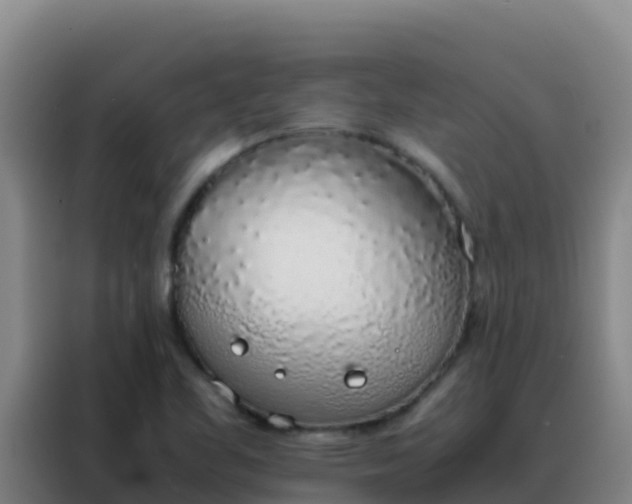 X0000088151461200705211146