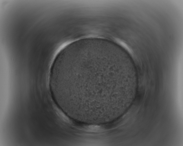 X0000088151463200705211146