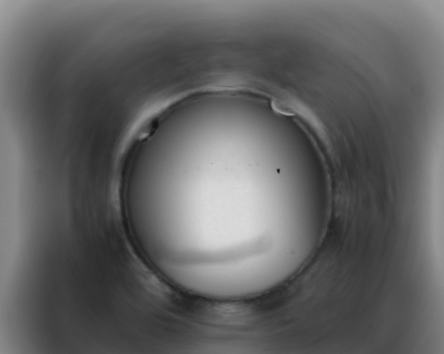 X0000088151464200705211146