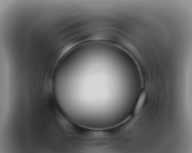 X0000088151465200705211146