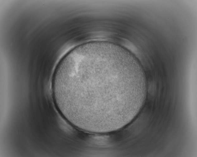 X0000088151466200705211146