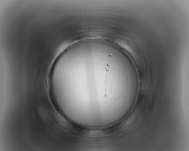 X0000088151467200705211146