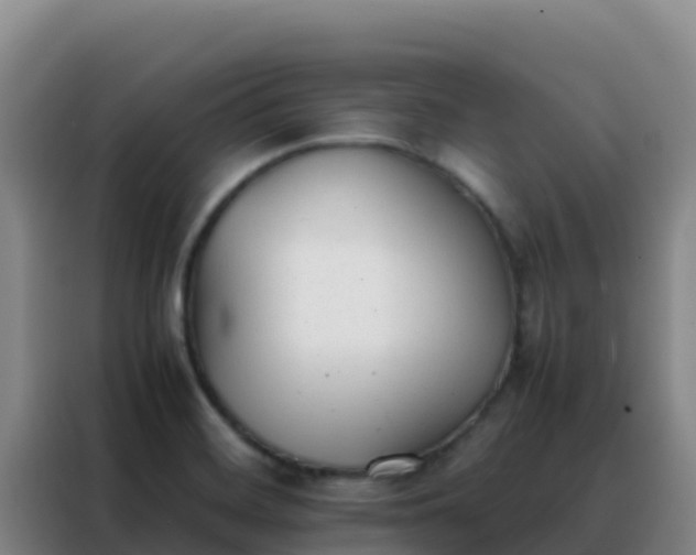 X0000088151468200705211146