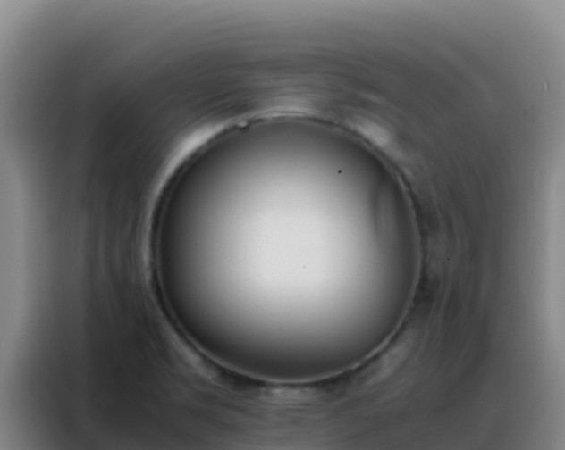 X0000088151469200705211146